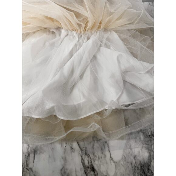 Pottery Barn Kids x Monique Lhuillier Lace Latte Tulle Tutu Embroidery Satin 3 + - Picture 9 of 11